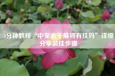 3分钟教程“中至余干麻将有挂吗”详细分享装挂步骤