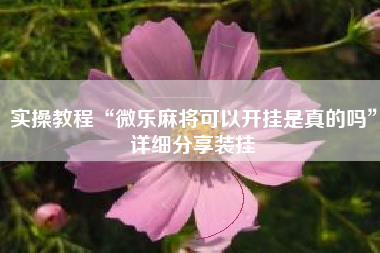 实操教程“微乐麻将可以开挂是真的吗	”详细分享装挂