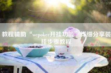 教程辅助“wepoker开挂功能	”详细分享装挂步骤教程