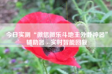 今日实测“微信微乐斗地主外卦神器”辅助器 - 实时智能回复