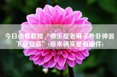 今日必看教程“微乐捉老麻子外卦神器下载安装”(原来确实是有插件)