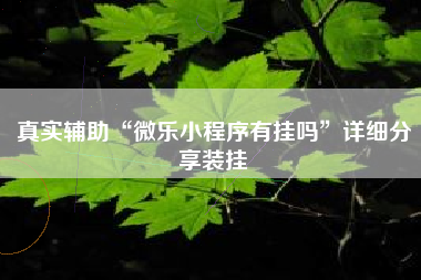 真实辅助“微乐小程序有挂吗”详细分享装挂