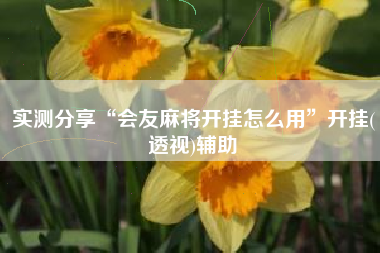 实测分享“会友麻将开挂怎么用	”开挂(透视)辅助