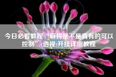 今日必看教程“麻将是不是真有的可以控制”(透视)开挂详细教程