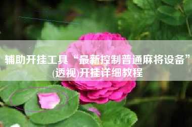 辅助开挂工具“最新控制普通麻将设备	”(透视)开挂详细教程