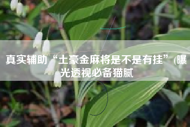 真实辅助“土豪金麻将是不是有挂	”(曝光透视必备猫腻