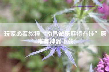 玩家必看教程“南昌微乐麻将有挂”原来有神器下载