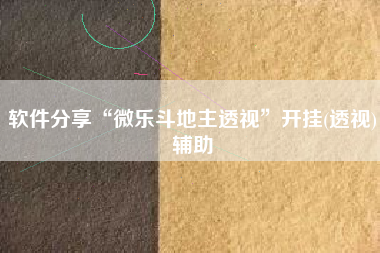 软件分享“微乐斗地主透视”开挂(透视)辅助