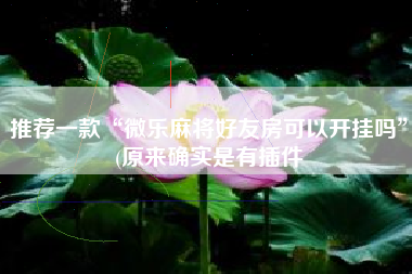 推荐一款“微乐麻将好友房可以开挂吗	”(原来确实是有插件