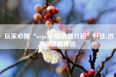 玩家必搜“wepoker辅助器介绍”开挂(透视)辅助神器
