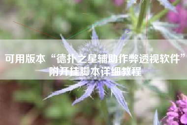 可用版本“德扑之星辅助作弊透视软件	”附开挂脚本详细教程