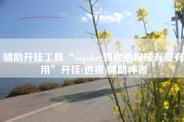 辅助开挂工具“wepoker到底透视挂有没有用	”开挂(透视)辅助神器