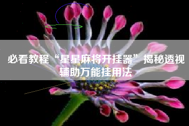 必看教程“星星麻将开挂器”揭秘透视辅助万能挂用法