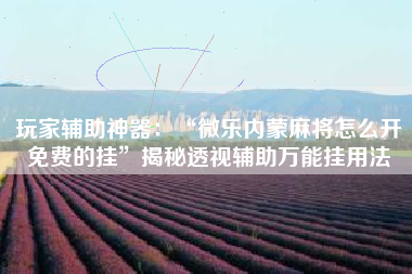 玩家辅助神器：“微乐内蒙麻将怎么开免费的挂	”揭秘透视辅助万能挂用法