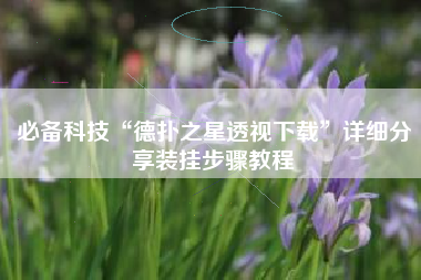 必备科技“德扑之星透视下载”详细分享装挂步骤教程