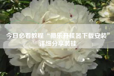 今日必看教程“微乐开挂器下载安装	”详细分享装挂