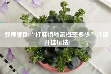 教程辅助“打麻将输赢概率多少”详细开挂玩法