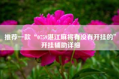 推荐一款“0759湛江麻将有没有开挂的	”开挂辅助详细