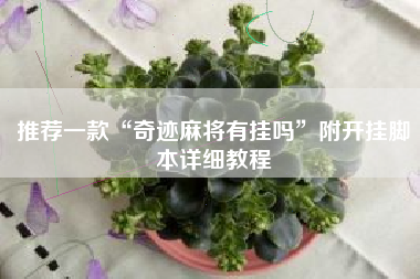 推荐一款“奇迹麻将有挂吗”附开挂脚本详细教程