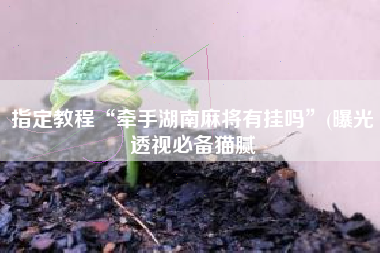 指定教程“牵手湖南麻将有挂吗	”(曝光透视必备猫腻