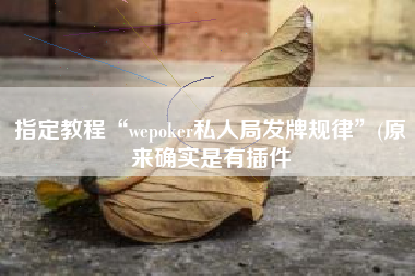 指定教程“wepoker私人局发牌规律”(原来确实是有插件
