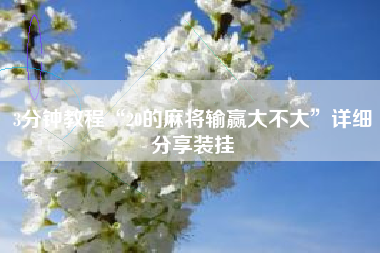 3分钟教程“20的麻将输赢大不大”详细分享装挂