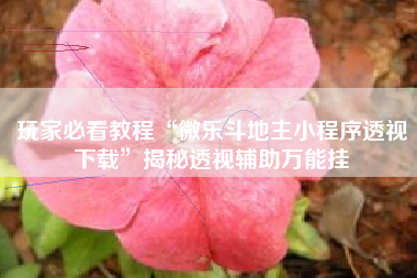 玩家必看教程“微乐斗地主小程序透视下载”揭秘透视辅助万能挂