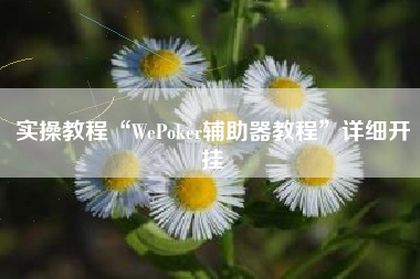 实操教程“WePoker辅助器教程	”详细开挂