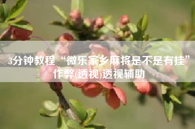 3分钟教程“微乐家乡麻将是不是有挂”作弊(透视)透视辅助