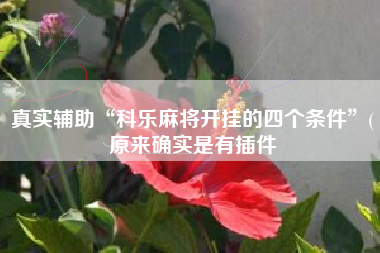 真实辅助“科乐麻将开挂的四个条件	”(原来确实是有插件