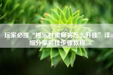 玩家必搜“桃乐甘肃麻将怎么开挂	”详细分享装挂步骤教程