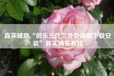 真实辅助“微乐三代二外卦神器下载安装”其实确实有挂