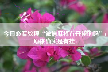 今日必看教程“微信麻将有开挂的吗”(原来确实是有挂)