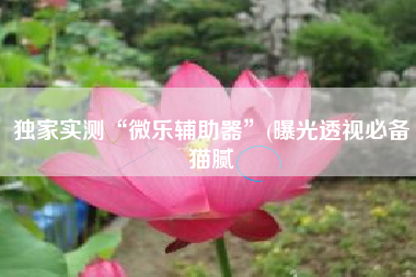 独家实测“微乐辅助器”(曝光透视必备猫腻