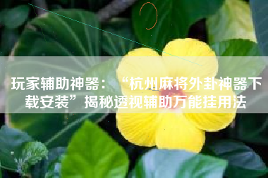 玩家辅助神器：“杭州麻将外卦神器下载安装”揭秘透视辅助万能挂用法