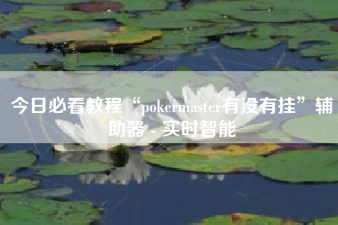 今日必看教程“pokermaster有没有挂”辅助器 - 实时智能