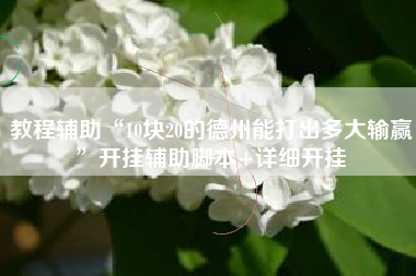 教程辅助“10块20的德州能打出多大输赢”开挂辅助脚本+详细开挂