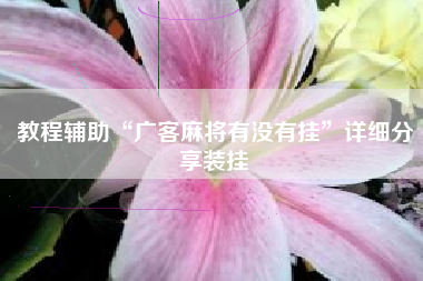 教程辅助“广客麻将有没有挂	”详细分享装挂