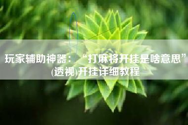 玩家辅助神器：“打麻将开挂是啥意思”(透视)开挂详细教程