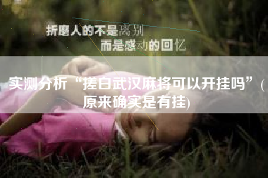 实测分析“搓白武汉麻将可以开挂吗”(原来确实是有挂)