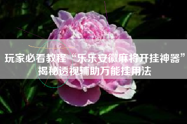 玩家必看教程“乐乐安徽麻将开挂神器”揭秘透视辅助万能挂用法