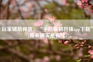 玩家辅助神器：“手机麻将开挂app下载”(原来确实是有挂)