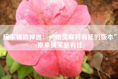 玩家辅助神器：“哈灵麻将有挂的版本”(原来确实是有挂)