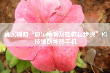 真实辅助“微乐麻将开挂教程步骤”科技辅助神器手机