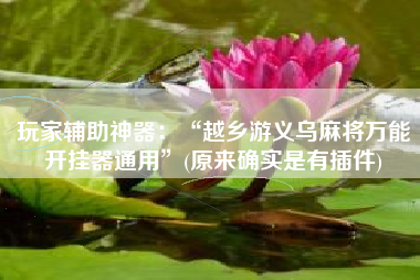 玩家辅助神器：“越乡游义乌麻将万能开挂器通用”(原来确实是有插件)