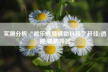 实测分析“微乐熊猫辅助科技	”开挂(透视)辅助神器