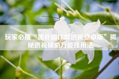 玩家必搜“德扑圈作弊透视安卓版	”揭秘透视辅助万能挂用法