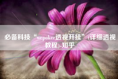 必备科技“wepoker透视开挂”(详细透视教程)-知乎