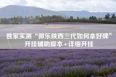 独家实测“微乐陕西三代如何拿好牌”开挂辅助脚本+详细开挂