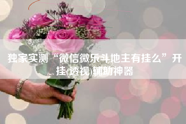 独家实测“微信微乐斗地主有挂么”开挂(透视)辅助神器